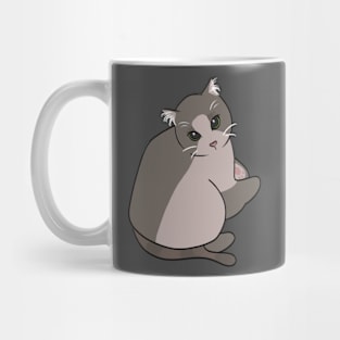 Chonky cat looking up Mug